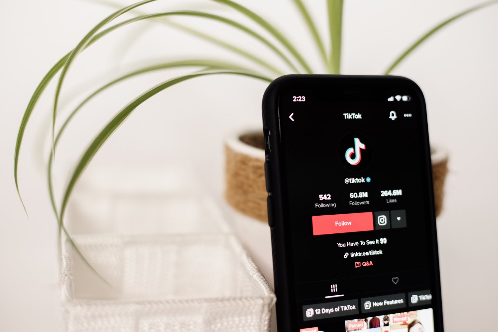 Bloom Nutrition, Social Media and Influencer Relations